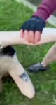 VID20250612215152816.mp4