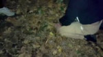 VID20250625205011.mp4