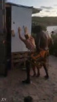 XNXXbbcbangingtouristoutdoors240p.mp4