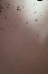 16818490557710.mp4