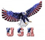 USA Eagle.gif