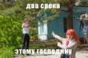 два срока