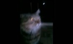 Глад Валакас - Кити-Хуити.mp4