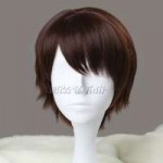Free-shipping-Cheap-30cm-man-short-wigs-brown-color-cosplay[...].jpg