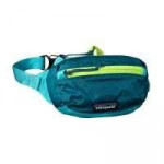 Patagonia Lightweight Travel Mini Hip Pack 1L.jpg