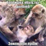 g6YukZhQAkg.jpg