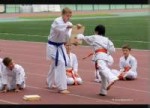 1869946762644x461doski-dlya-karate-i-teykvon-do-fotografii.jpg