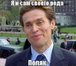 345363636.png
