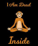 i-am-dead-inside-as-a-funny-sweet-yoga-monkey-humor-ari-shok.jpg