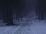 DSCN7078.JPG
