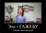 dem5aac47cf172ea.png