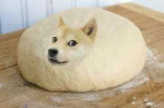 doge-meme.jpg