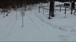 DCIM0368.mp4