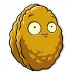 PVZ2BWallnut41031.1435609734.500.750.jpg