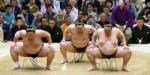 Sumo-sumotori-rikishi-410x205.jpg