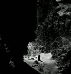  .webm