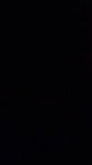 14811506524100.webm