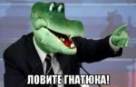 FBkLUApVk.jpg