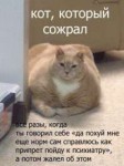 nXmhZJgfYDk.jpg