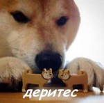 j8ufbixp.jpeg