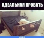 1391055586.jpg