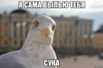 14298832266339.jpg