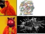.jpg