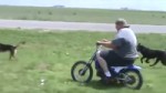 Fat people on motorcycles.webm