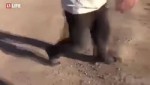 похуй.mp4