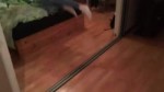 15235538903130.webm