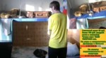 грибабас молчаливый взрыв.mp4