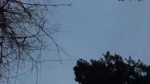 videoplayback.webm