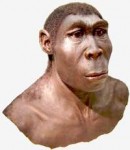 mistery-neanderthal-1.jpg