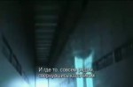  .webm