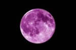 tumblrstaticpurple-moon-fairy-lovely[1].jpg