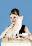 Audrey and her furry costar, “Cat”, 1961..jpg