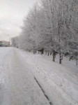 125125.jpeg