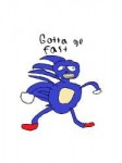 sanic.jpg