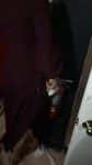 кара падает.webm