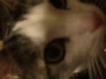 712CB678-DDCC-4C13-86DD-6AD5C3B99D84.jpeg