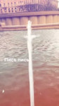 пись-пись.webm