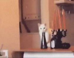 44324.gif