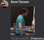 чмошикid371677475.png