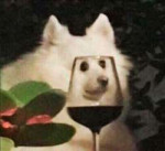TxnOiudBCbU.jpg
