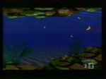 sup.webm