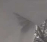 40.png