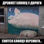 15417020303060.png
