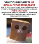 15419338674210.jpg