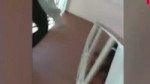LuchshyMuvikEver.webm