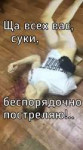 IMG20181201010549.jpg